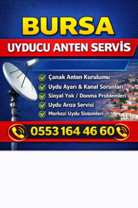 bursa uyducu çanak anten servisi